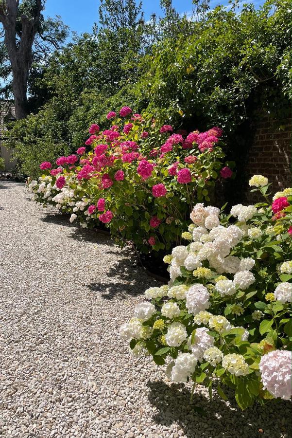 Aux Remparts De Montreuil Bed & Breakfast Montreuil  ภายนอก รูปภาพ